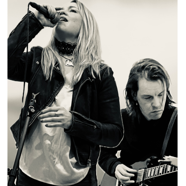 duo_eisvogel